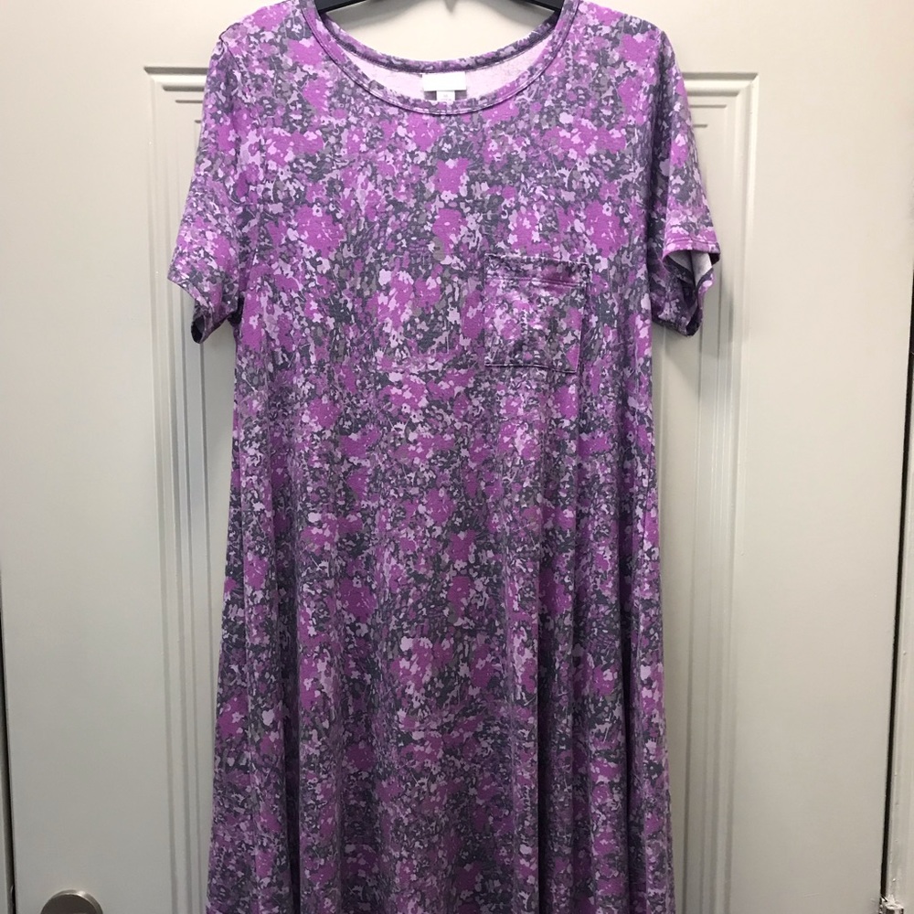 LuLaRoe Carly Dress